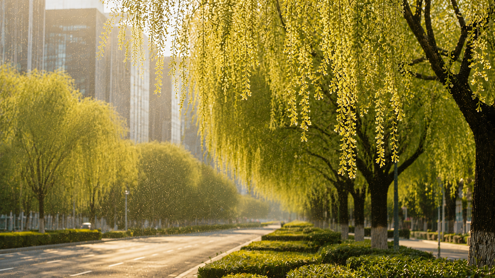 Spring Pollen Allergies